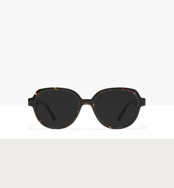 Brown Tort--front_image_sun