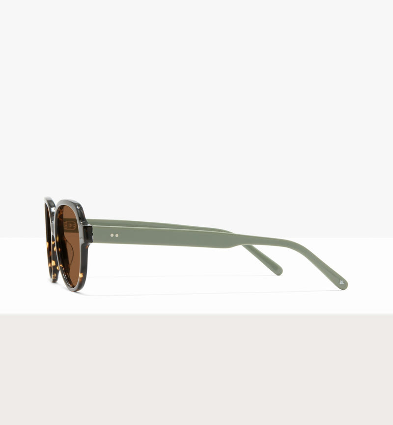 Brown Tort--side_image_sun