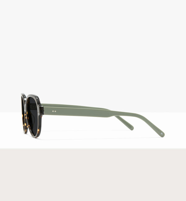 Brown Tort--side_image_sun