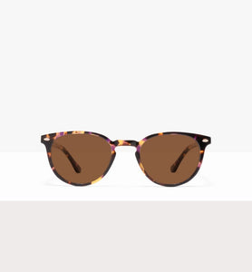 Purple Tort--front_image_sun