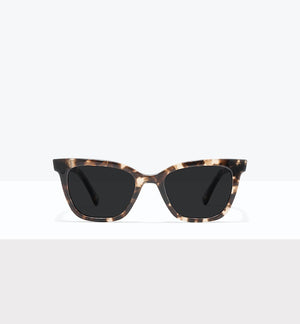 Leopard--front_image_sun
