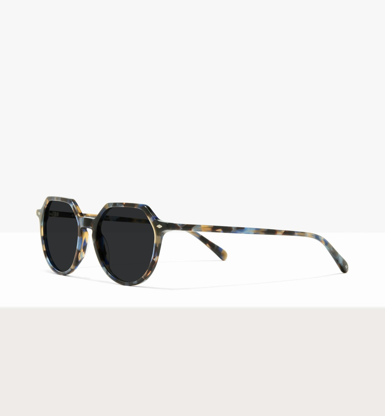 Blue Tort--angled_image_sun
