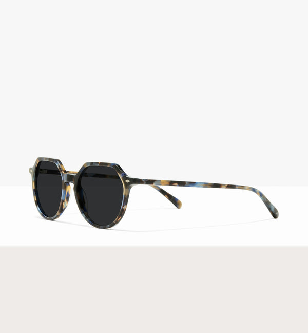 Blue Tort--angled_image_sun