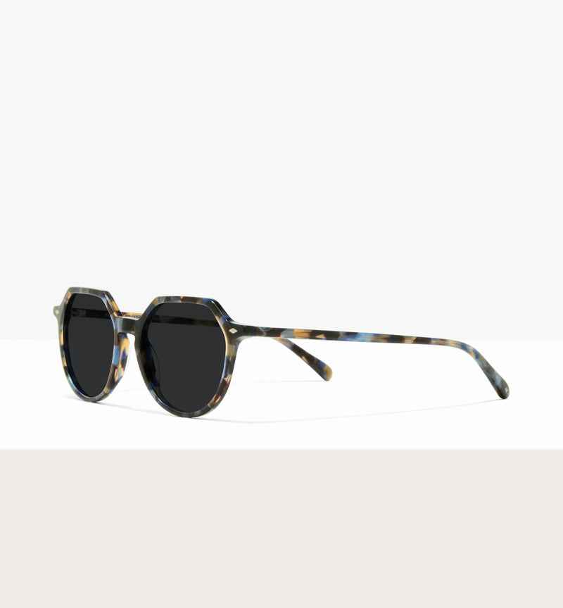 Blue Tort--angled_image_sun