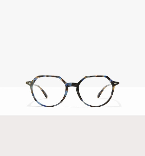 Blue Tort--front_image