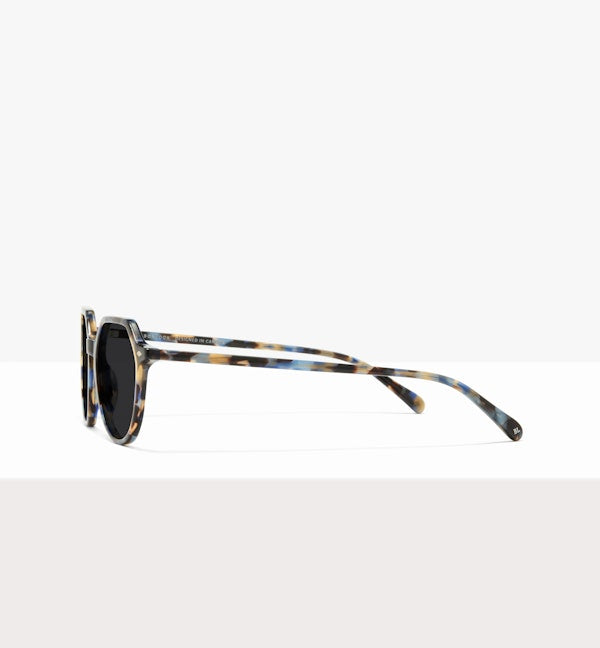 Blue Tort--side_image_sun