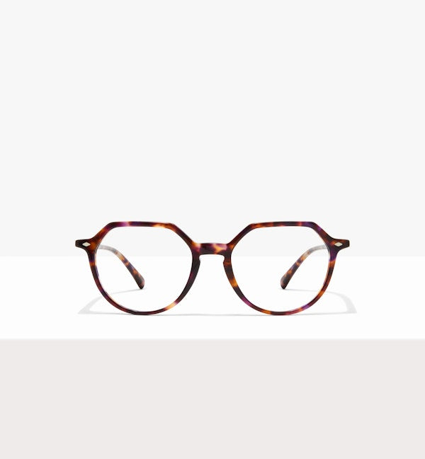 Purple Tort--front_image