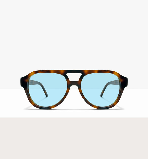 Brown Tort--front_image_sun