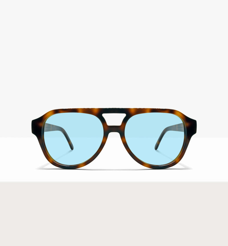 Brown Tort--front_image_sun