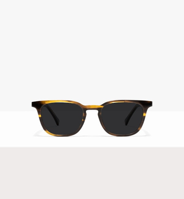 Noyer--front_image_sun