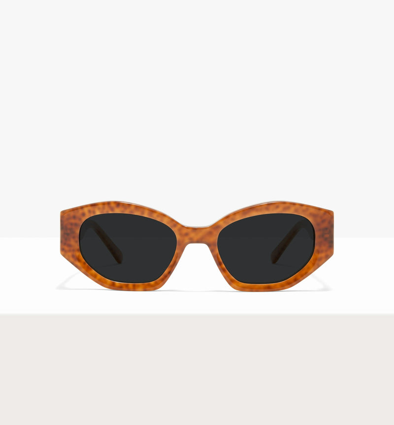 Tamarillo--front_image_sun