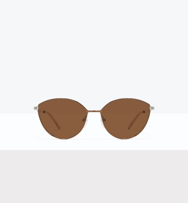 Brown--front_image_sun