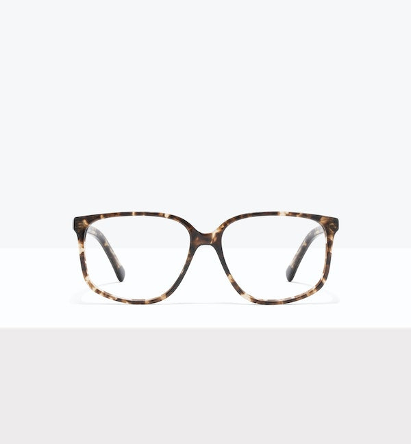 Leopard--front_image