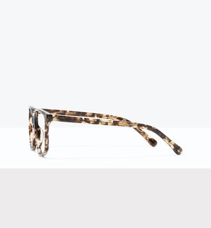 Leopard--side_image