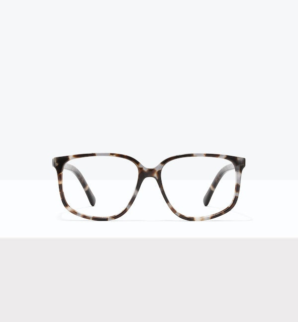 Blue Tort--front_image