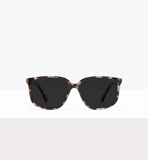 Blue Tort--front_image_sun