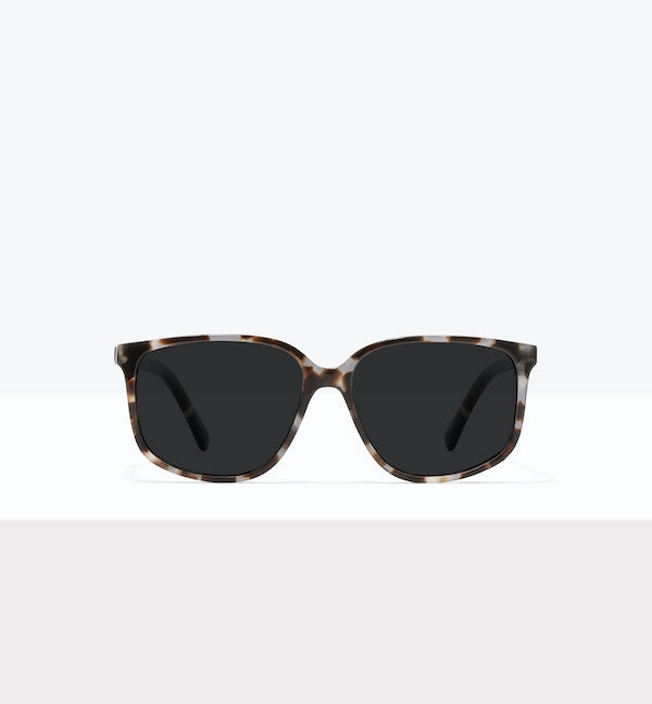 Blue Tort--front_image_sun