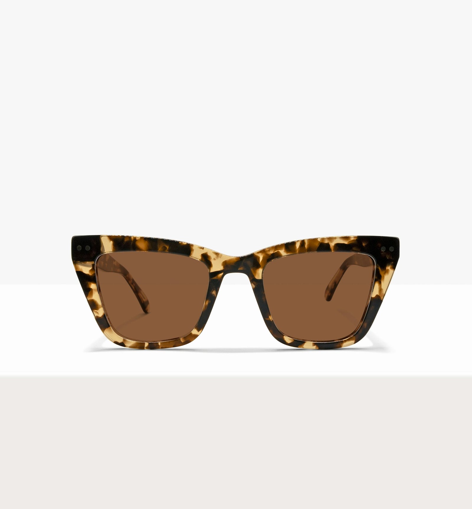 Leopard--front_image_sun