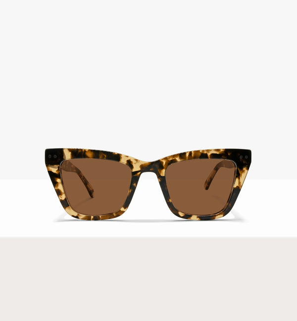 Leopard--front_image_sun