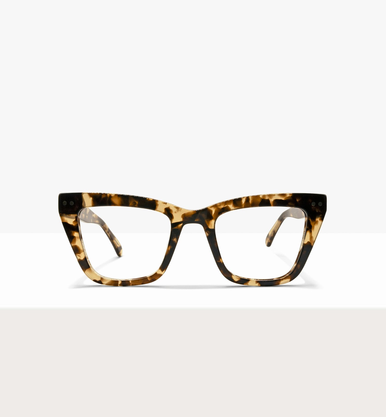 Leopard--front_image