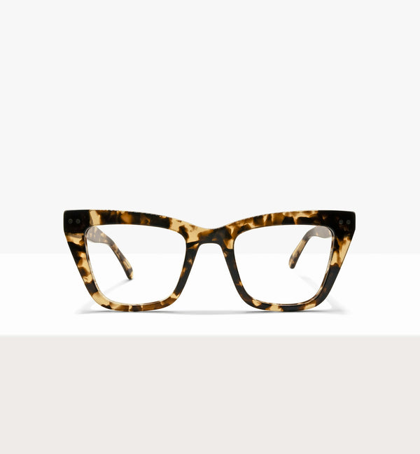 Leopard--front_image