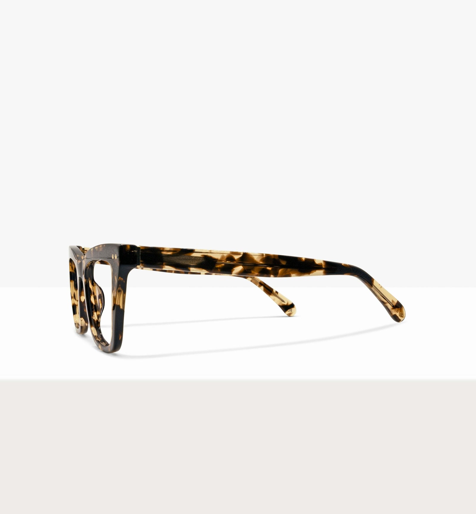Leopard--side_image