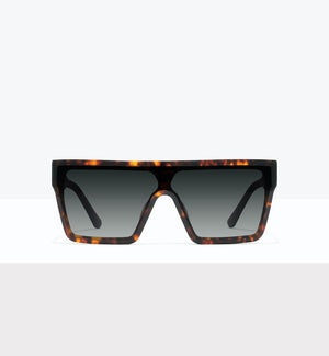 Tortoise--front_image_sun