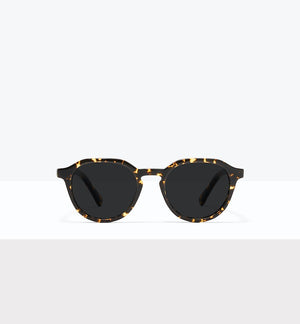 Dark Tort--front_image_sun