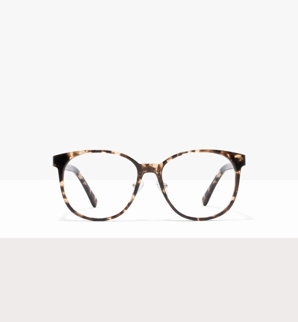 Leopard--front_image