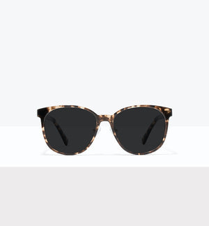 Leopard--front_image_sun