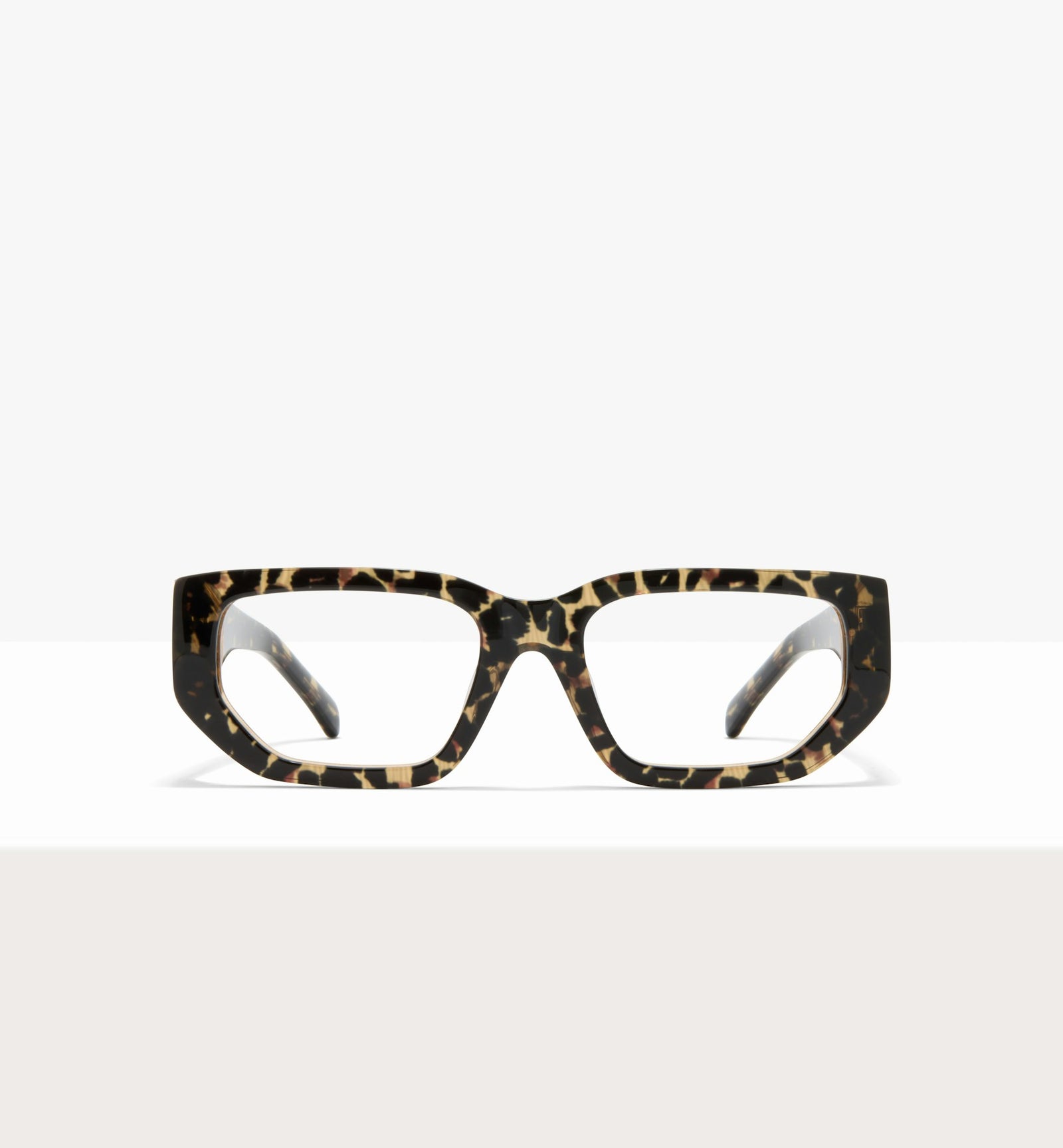 Feline--front_image