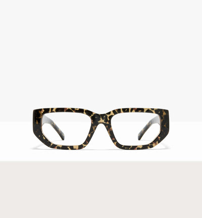 Feline--front_image