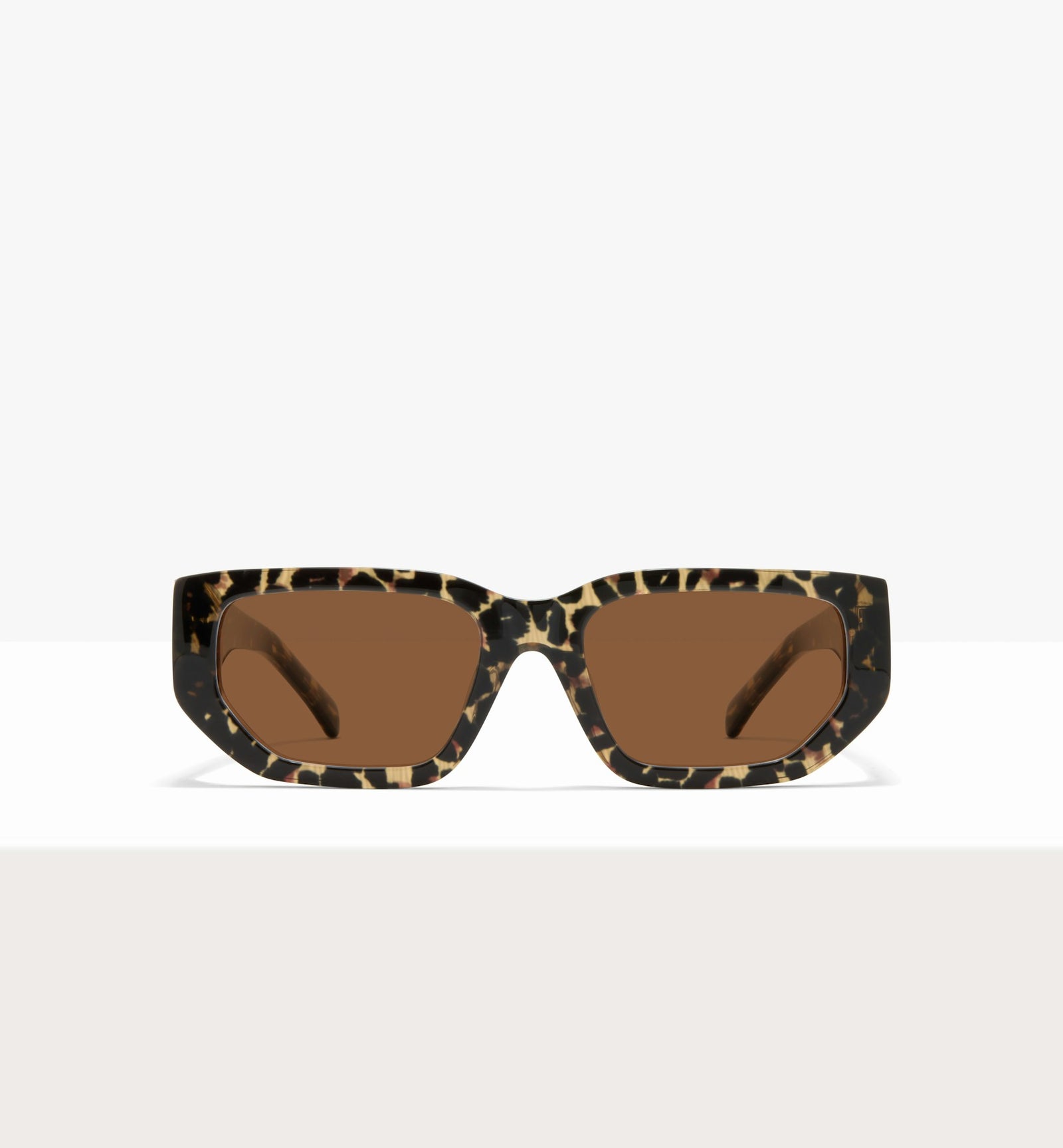 Feline--front_image_sun