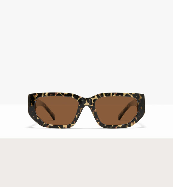 Feline--front_image_sun