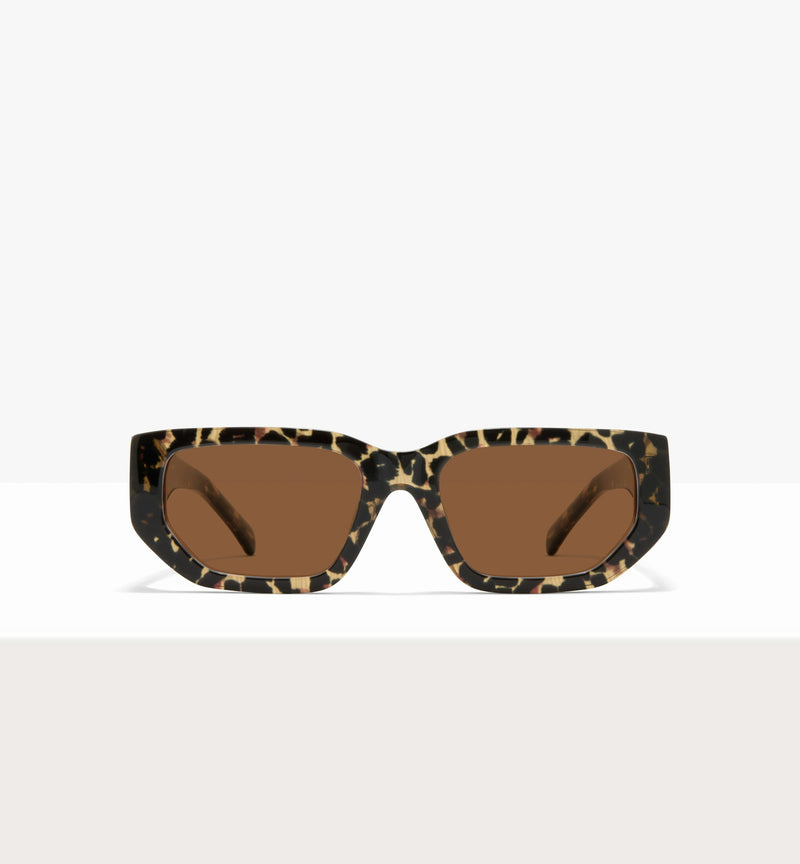 Feline--front_image_sun