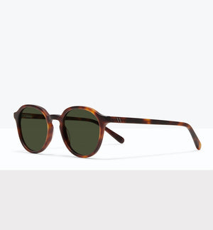 Ansel Sunglasses BonLook   