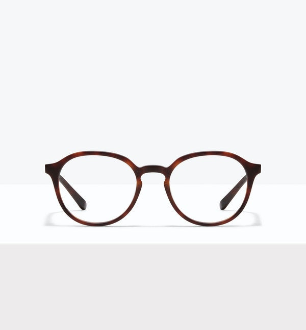 Ansel Eyeglasses BonLook Matte Tortoise 5 yes