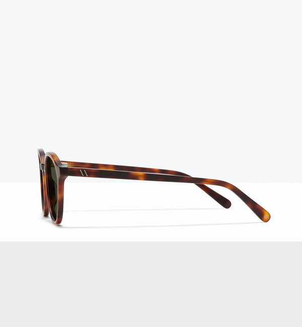 Ansel Sunglasses BonLook   
