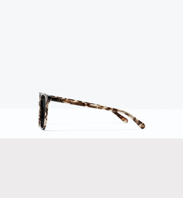 Leopard--side_image