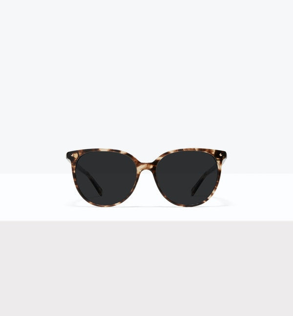 Leopard--front_image