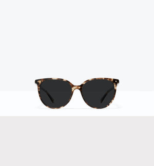 Leopard--front_image