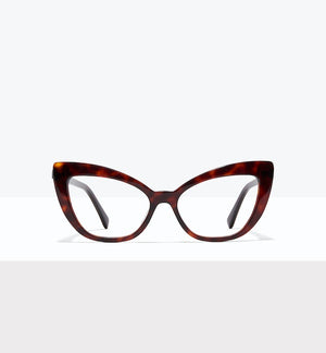 Tortoise--front_image