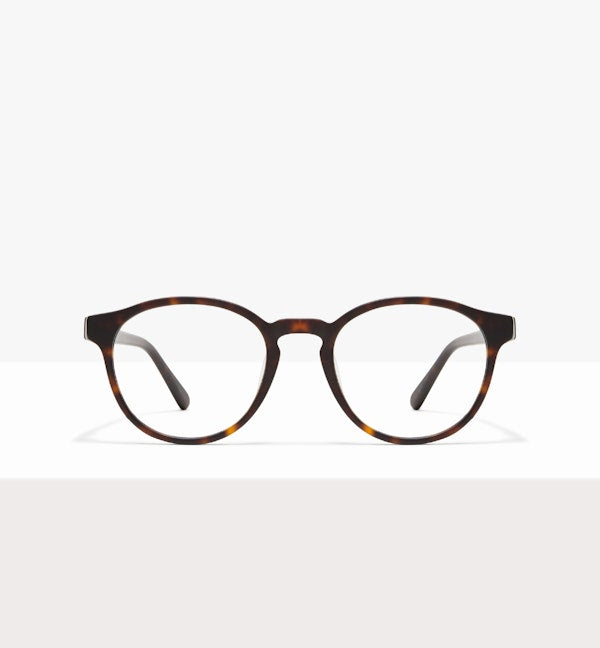 Matte tortoise shell glasses 2025