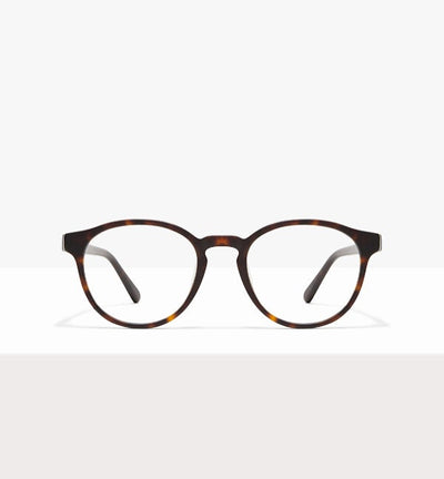 Matte Tortoise--front_image