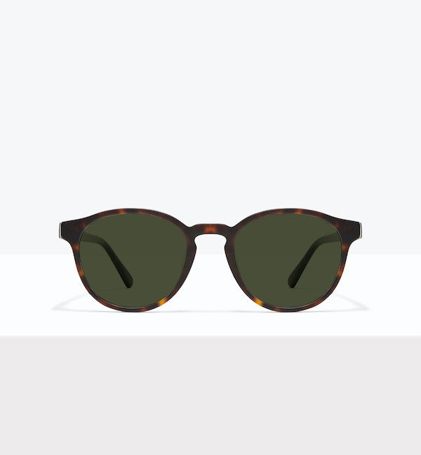 Écaille mat -- image_de_face_soleil