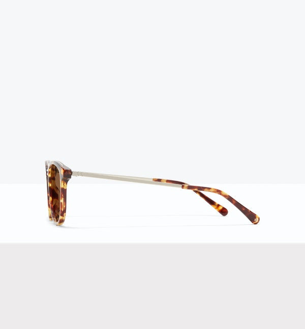 Bella Sunglasses BonLook   