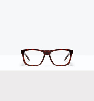Tortoise--front_image