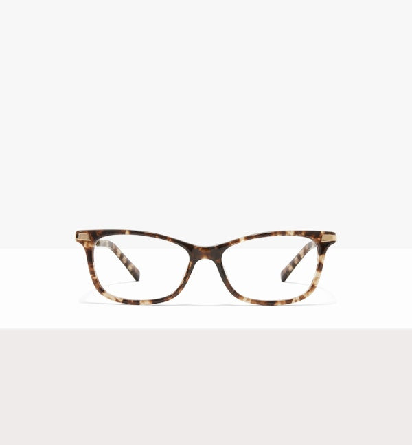 Leopard--front_image