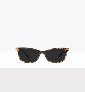 Leopard--front_image_sun