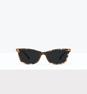 Leopard--front_image_sun